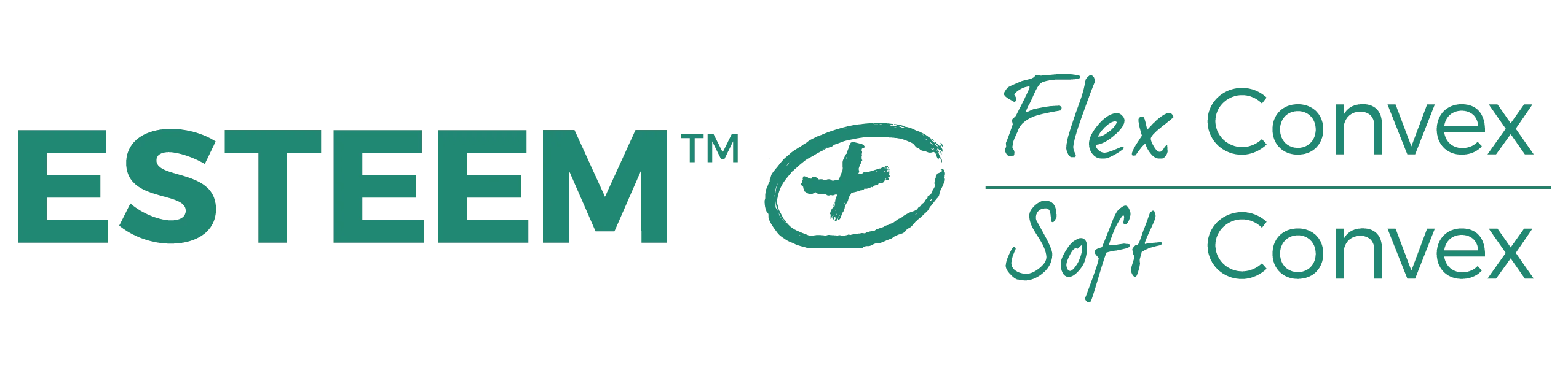 Esteem logo